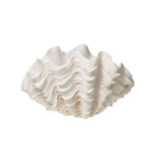 Deco Conchiglia H 30 cm